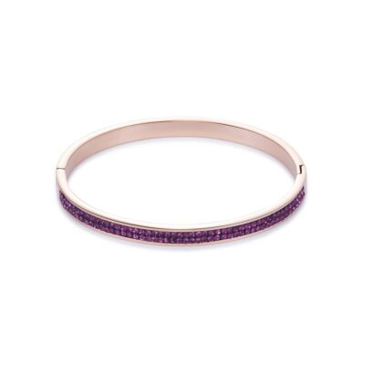 Coeur de lion - Armring Ametist