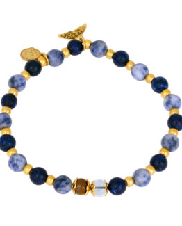 By Billgren- Save the Ocean guld