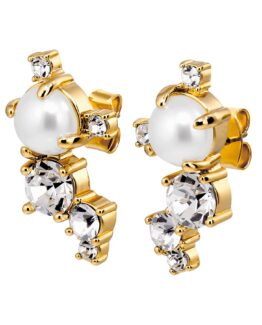 Dyrberg/Kern- Örhängen Curra crystal/golden