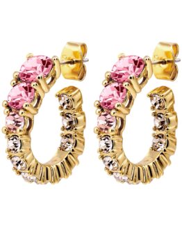 Dyrberg/Kern- Örhängen Kolos stål/guld