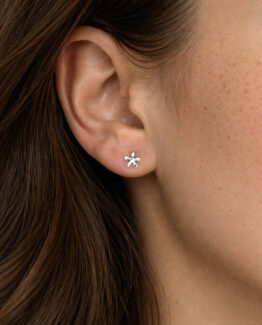Drakenberg Sjölin - Silverörhängen Etoile drop studs
