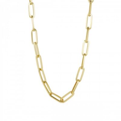 Bud to Rose- Stålhalsband Carrie large gold