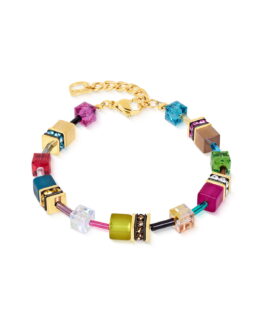 Coeur de lion - Armband Multicolour Elegant