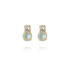 Leah Earrings Agave Combo Gold